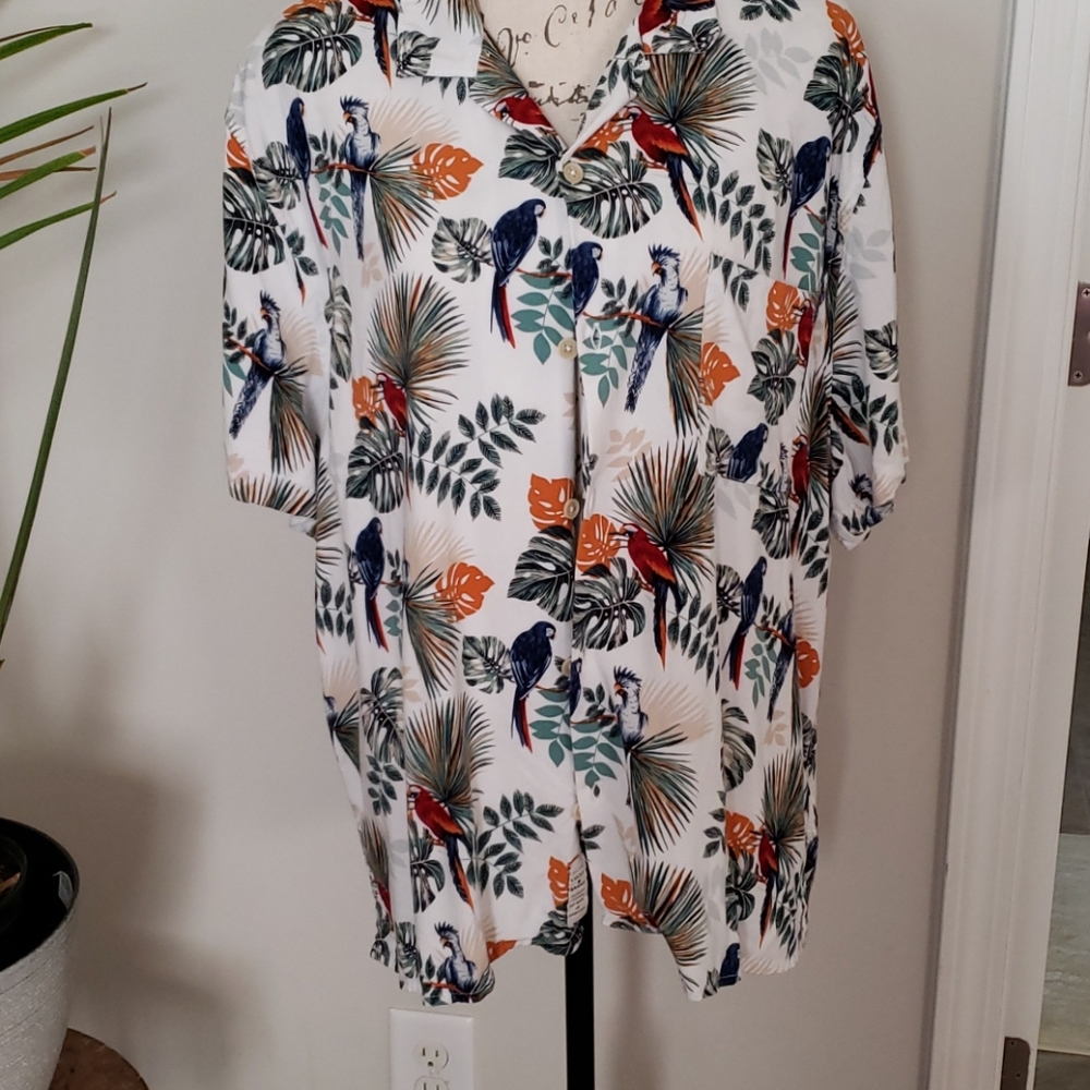 LUCKY BUTTON DOWN